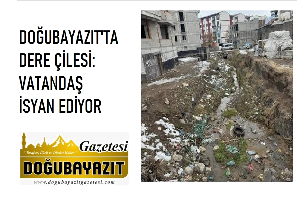 DOĞUBAYAZIT'TA DERE ÇİLESİ: VATANDAŞ İSYAN EDİYOR