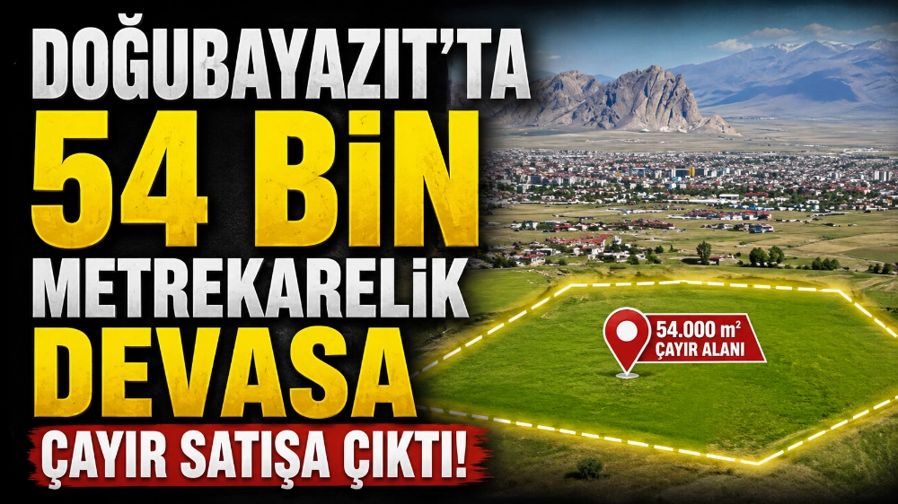 Doğubayazıt’ta 54 Bin Metrekarelik Devasa Çayır Satışa Çıktı: Ağrı Dağı Eteğinde Kimler Talip Olacak?