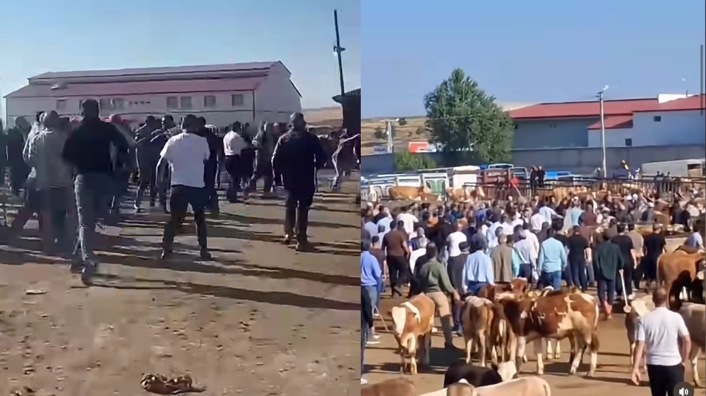 Ağrı’da Hayvan Pazarında Taşlı Sopalı Kavga! Kavganın Sebebi Ne? Çok Sayıda Yaralı