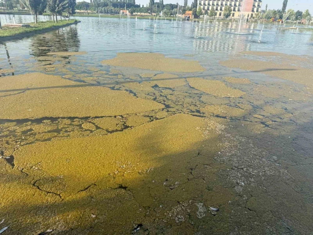 Millet Bahçesi’ndeki süs havuzunda kirlilik tepki çekiyor