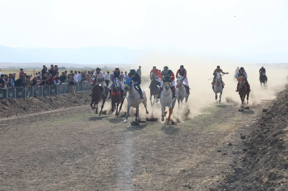 AĞRI’DA NEFES KESEN MAHALLE AT YARIŞLARI COŞKUYLA GERÇEKLEŞTİRİLDİ