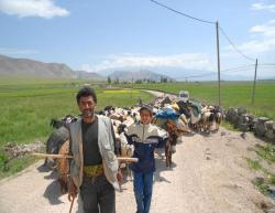 Yayla Mevsimi Başladı