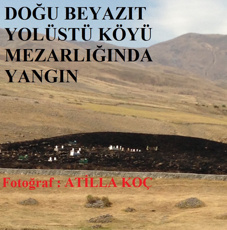 DOĞU BEYAZIT YOLÜSTÜ KÖYÜ MEZARLIĞINDA YANGIN