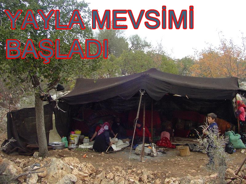 KIL ÇADIRLARI REVAŞTA