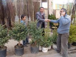 Fidan Satışları Başladı