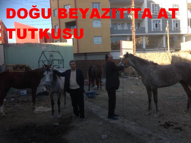 DOĞU BEYAZIT`TA AT TUTKUSU