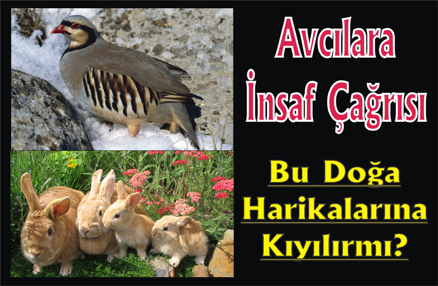 Bu Doğa Harikalarına Kıyılır mı?