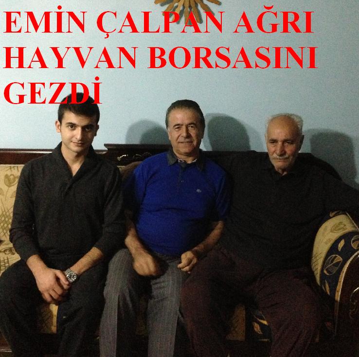 EMİN ÇALPAN AĞRI HAYVAN BORSASINI GEZDİ