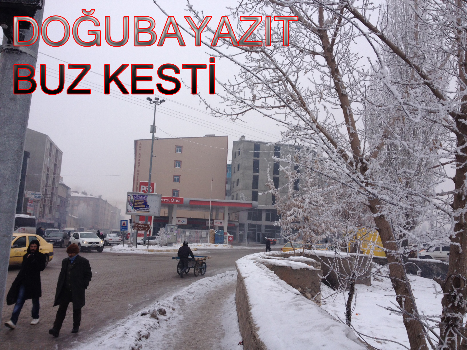 Havada Uçan Karada Kaçan hayvanlar bile yaşamak için zorlanıyor
