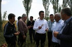  Ağrı Köydes ödeneğinin ilçelere dağılımı?