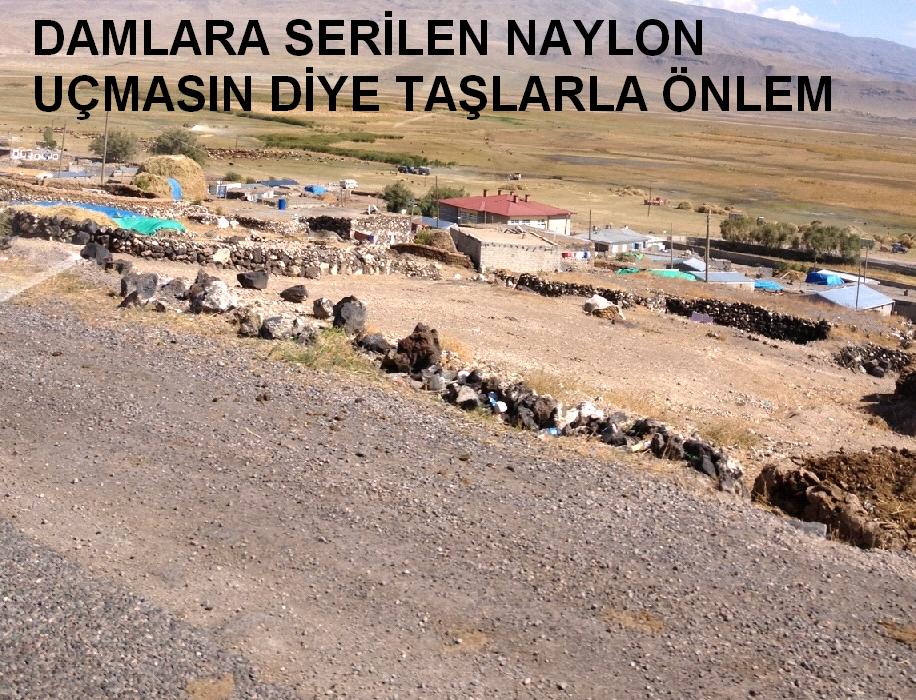 KIŞA DOĞRU İLERLERKEN
