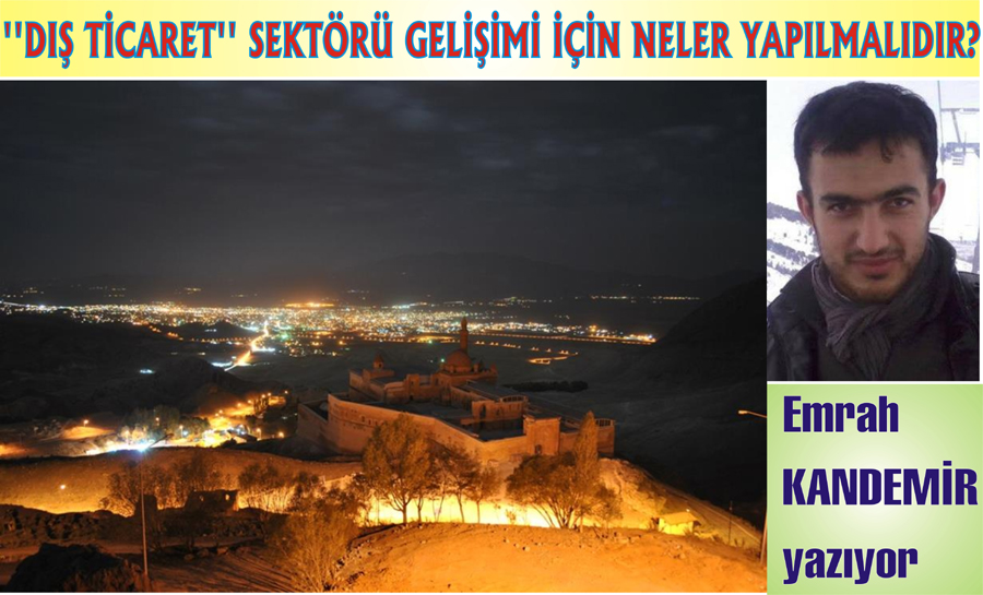 ?`DIŞ TİCARET`` SEKTÖRÜ GELİŞİMİ İÇİN NELER YAPILMALIDIR?