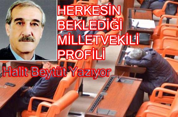 HERKESİN BEKLEDİĞİ MİLLETVEKİLİ PROFİLİ