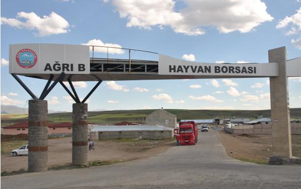 AĞRI HAYVAN BORSASI HARABE OLDU