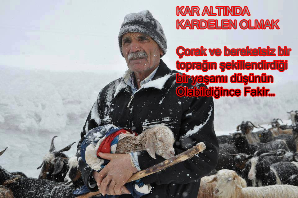 KAR ALTINDA KARDELEN OLMAK