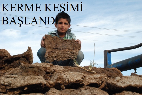 KERME KESİMİ BAŞLANDI