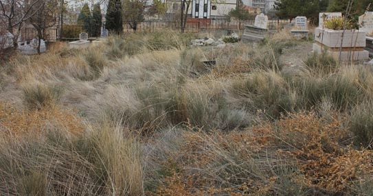 MEZARLIKLAR BAKIMSIZ