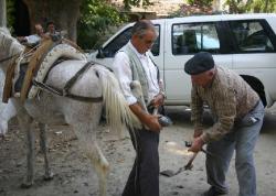 Nalcılık Yeniden Başladı