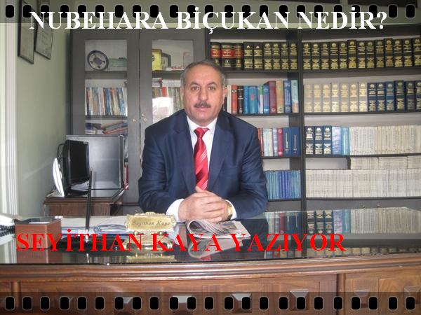 NUBEHARA BİÇUKAN NEDİR?