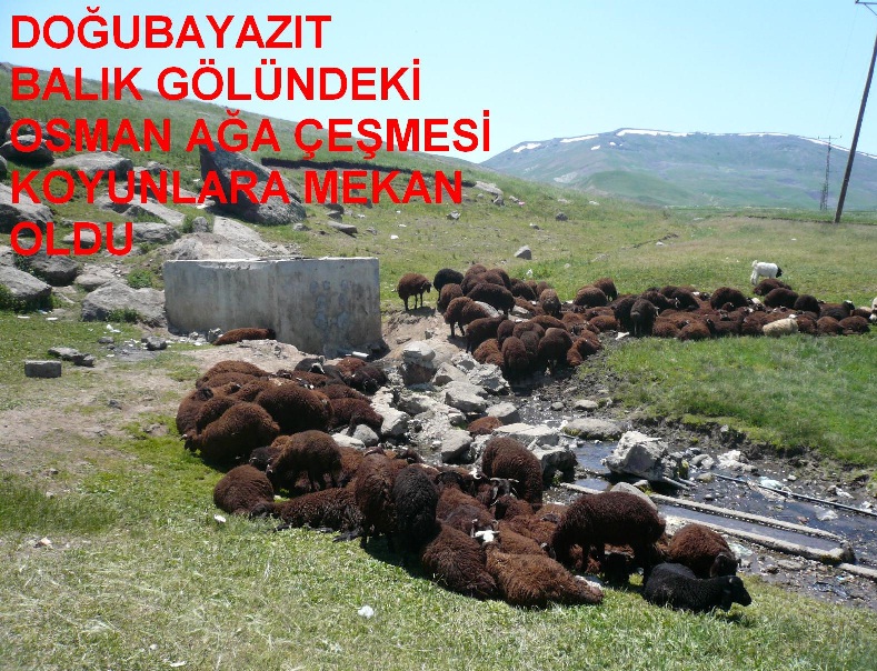 Soğuk Suyu İle Ünlü Çeşmenin Çevresi Piknikçilerle Doluyordu