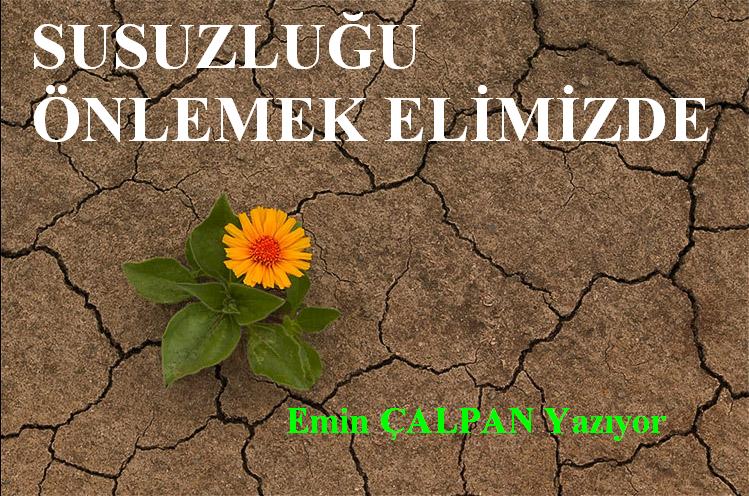 Doğubayazıt`ta Susuzluk Tehlikesi?