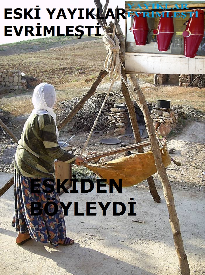 ESKİ YAYIKLAR (MEŞK) EVRİMLEŞTİ