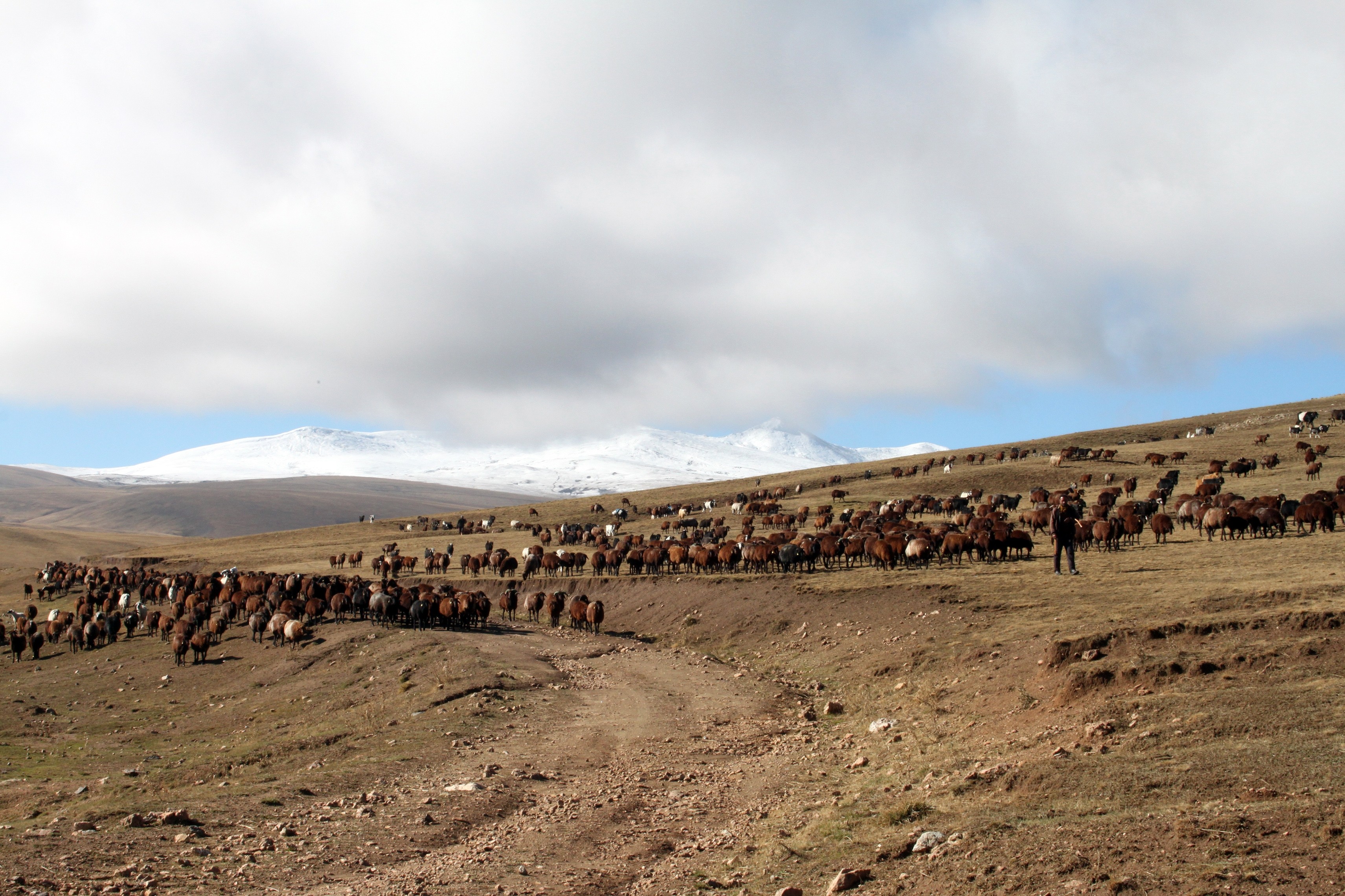 KAR YAĞIŞI YAYLA SEZONUNU ERKEN BİTİRDİ