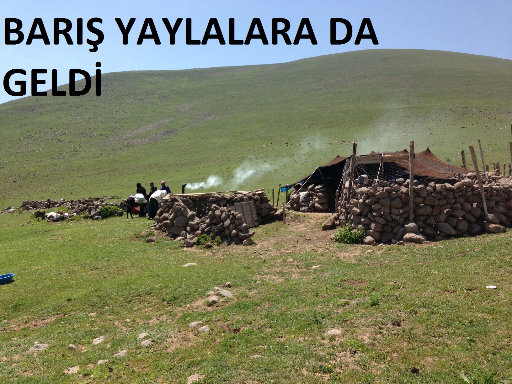 BARIŞ YAYLALARA DA GELDİ